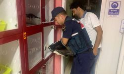 Zonguldak'ta yaralı halde bulunan martı tedaviye alındı