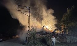 Karabük'te bir ahır, samanlık ve taksi yandı