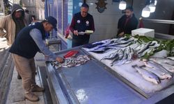 Sinop'ta balık satış yerlerinde denetim yapıldı