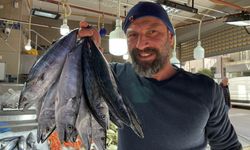 Sinop'ta balıkçı tezgahları hamsi ve palamutla doldu