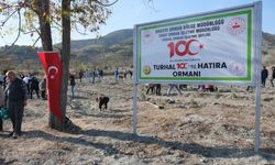 Turhal'da 100. yıl hatıra ormanına fidan dikildi
