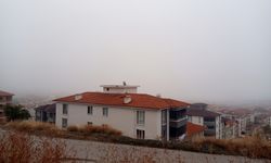 Amasya'da sis etkili oldu