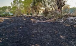 Amasya'da son 2 ayda 108 anız yangını meydana geldi