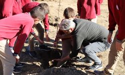 Bayburt'ta okul bahçeleri ağaçlandırılıyor