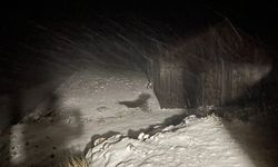 Düzce'de yılın ilk kar yağışı Kardüz Yaylası'nda başladı