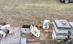 Karabük'te ayılar arı kovanlarına zarar verdi