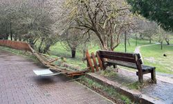 Kuvvetli rüzgar Gölcük Tabiat Parkı'nda ağaçları devirdi