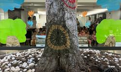 Samsun'da TEMA Vakfınca anaokulu öğrencileri için doğa sevgisi etkinliği yapıldı