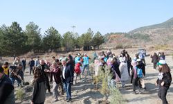 Turhal'da Milli Ağaçlandırma Günü'nde fidanlar toprakla buluşturuldu