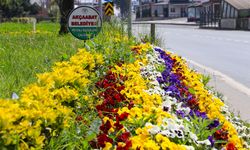 Akçaabat'ta belediye seralarında üretilen bitkiler ilçe sokaklarını süslüyor