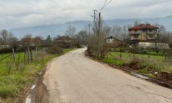Bartın'da 12 köyde şap karantinası başlatıldı