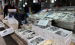 Karadeniz'de deniz suyu sıcaklığı düştü avcılık arttı
