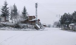 Ordu'nun Çambaşı Yaylası'nda kar etkili oldu