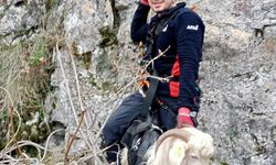 Amasya'da kayalıklarda mahsur kalan keçi kurtarıldı
