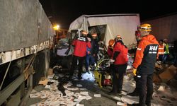 Anadolu Otoyolu'nda park halindeki tıra çarpan kamyonetin sürücüsü yaralandı