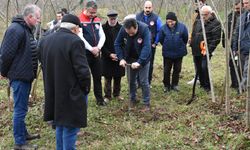 Fındık üreticileri aldıkları eğitimle bahçelerinde verim ve kaliteyi artırıyor