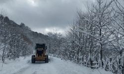 Giresun ve Rize'de 93 köy yolu ulaşıma kapandı