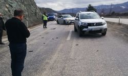 Kastamonu'da aracın çarptığı karaca öldü
