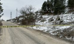Kastamonu'da bir kişi silahla öldürülmüş halde yolda bulundu