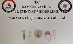 Samsun'da uyuşturucu bulunan araçtaki 2 şüpheli gözaltına alındı