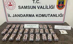 Samsun'da uyuşturucu ve kaçakçılık operasyonunda 2 zanlı yakalandı