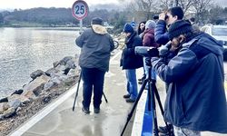 Sinop’ta su kuşlarının sayımı yapıldı