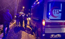 Türkeli'de kamyonetin çarptığı kişi yaralandı