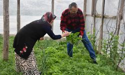 Eşinin sağlığına kavuşması için böbreğini verdi