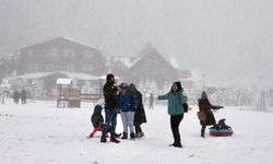 Giresun'da doğaseverler Kümbet Yaylası'ndaki Kar Festivali'nde buluştu