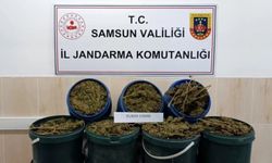 GÜNCELLEME - Samsun'da uyuşturucu operasyonunda 1 kişi tutuklandı