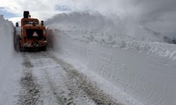 Kar nedeniyle 4 gündür kapalı olan Ardahan-Artvin kara yolu açıldı