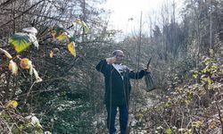 Karabük'te emekli imamın aşıladığı yabani ağaçlar meyve veriyor
