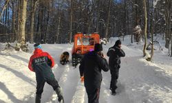 Zonguldak'ta avlanmaya giden kişi ormanlık alanda ölü bulundu