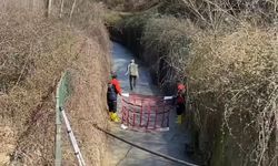 Bartın'da su kanalına düşen karaca balık ağıyla kurtarıldı