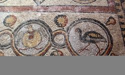 Restorasyonu tamamlanan 1600 yıllık mozaikler Sinop turizmine kazandırılmayı bekliyor
