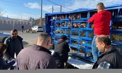 Zonguldak'ta çiftçilere 1500 tavuk dağıtıldı