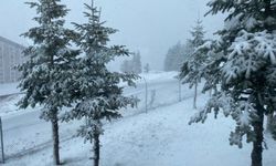 Bolu'nun yüksek kesimlerinde nisanda kar etkili oldu