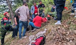 Trabzon'da ormanda çalışırken uçuruma yuvarlanan kişiyi itfaiye kurtardı