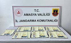 Amasya’da uyuşturucu operasyonunda bir kişi gözaltına alındı