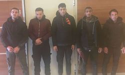 Edirne'de 5 göçmen yakalandı