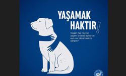 “HER CANLI İÇİN YAŞAM BİR HAKTIR”