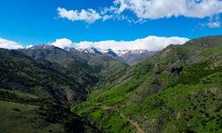 Bayburt'ta kaynak sularda yetiştirilen alabalık türleri lezzetiyle öne çıkıyor