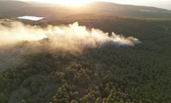 Kastamonu'da çıkan orman yangını kontrol altına alındı