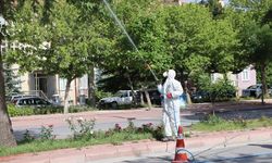 SARIKORKMAZ'DA İLAÇLAMA TALEBİ