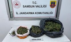 Samsun'da uyuşturucu operasyonunda 1 kişi yakalandı