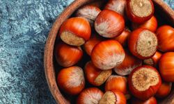 FINDIK ÜRETİCİSİ MAĞDUR