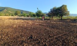 Tokat'ta çıkan yangında yaklaşık 6 dönüm buğday ekili arazi zarar gördü