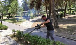 Vezirköprü Belediyesi park ve bahçelerde budama çalışması yapıyor
