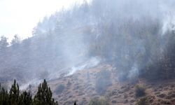 GÜNCELLEME - Kastamonu'da ormanlık alanda çıkan yangına müdahale ediliyor