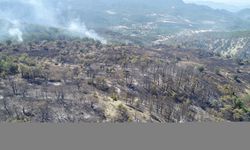 Bolu'da orman yangınında zarar gören alanlar havadan görüntülendi